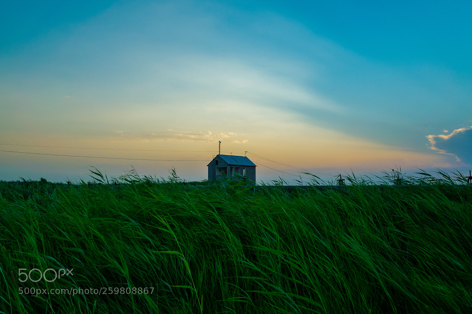 Nikon D5300 sample photo. Lonely house photography