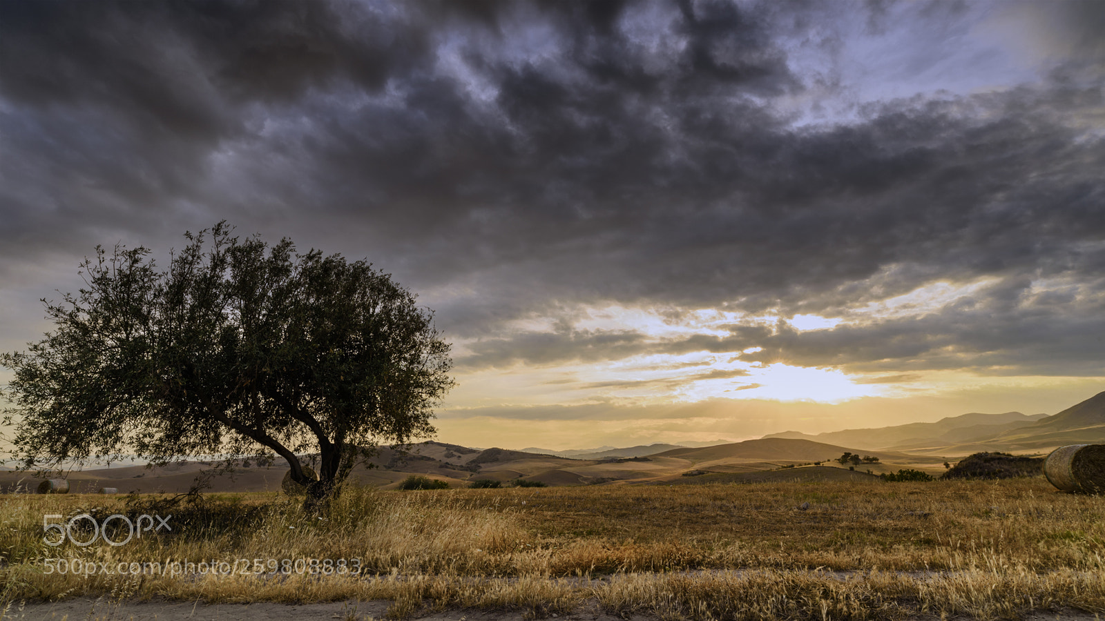 Nikon D750 sample photo. Tramonto. photography