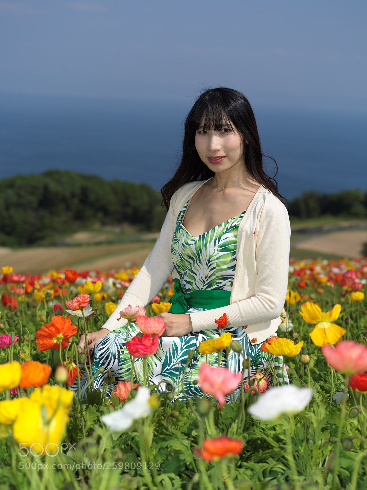 Hasselblad X1D-50c sample photo. Poppies and the sea photography