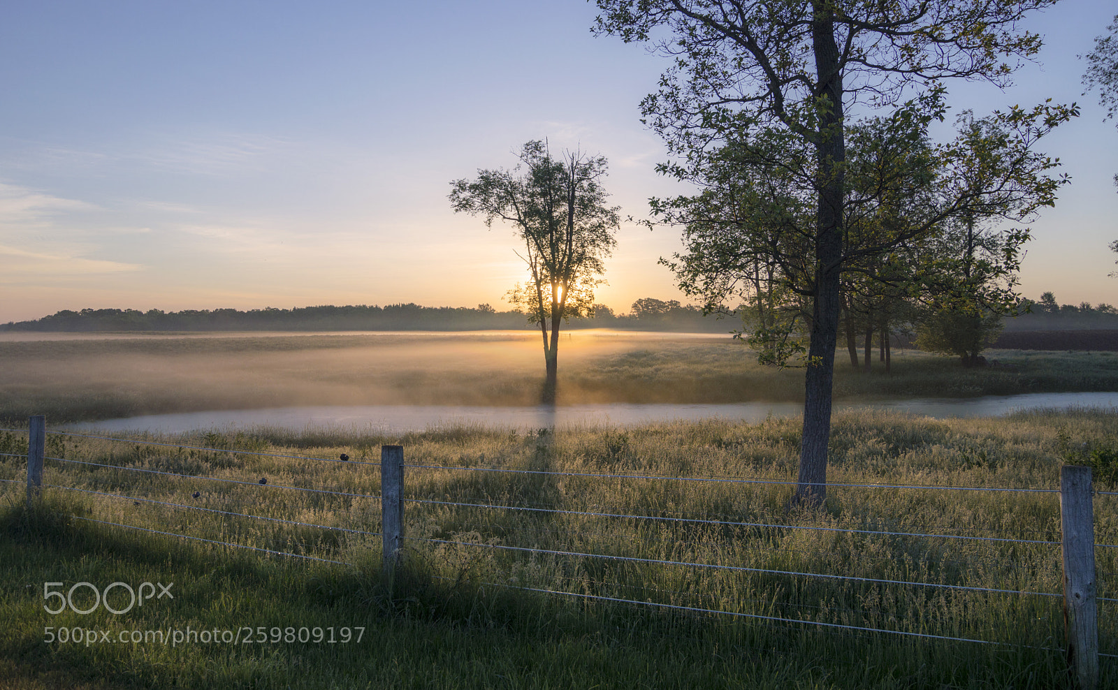 Nikon D3200 sample photo. Field o fog photography