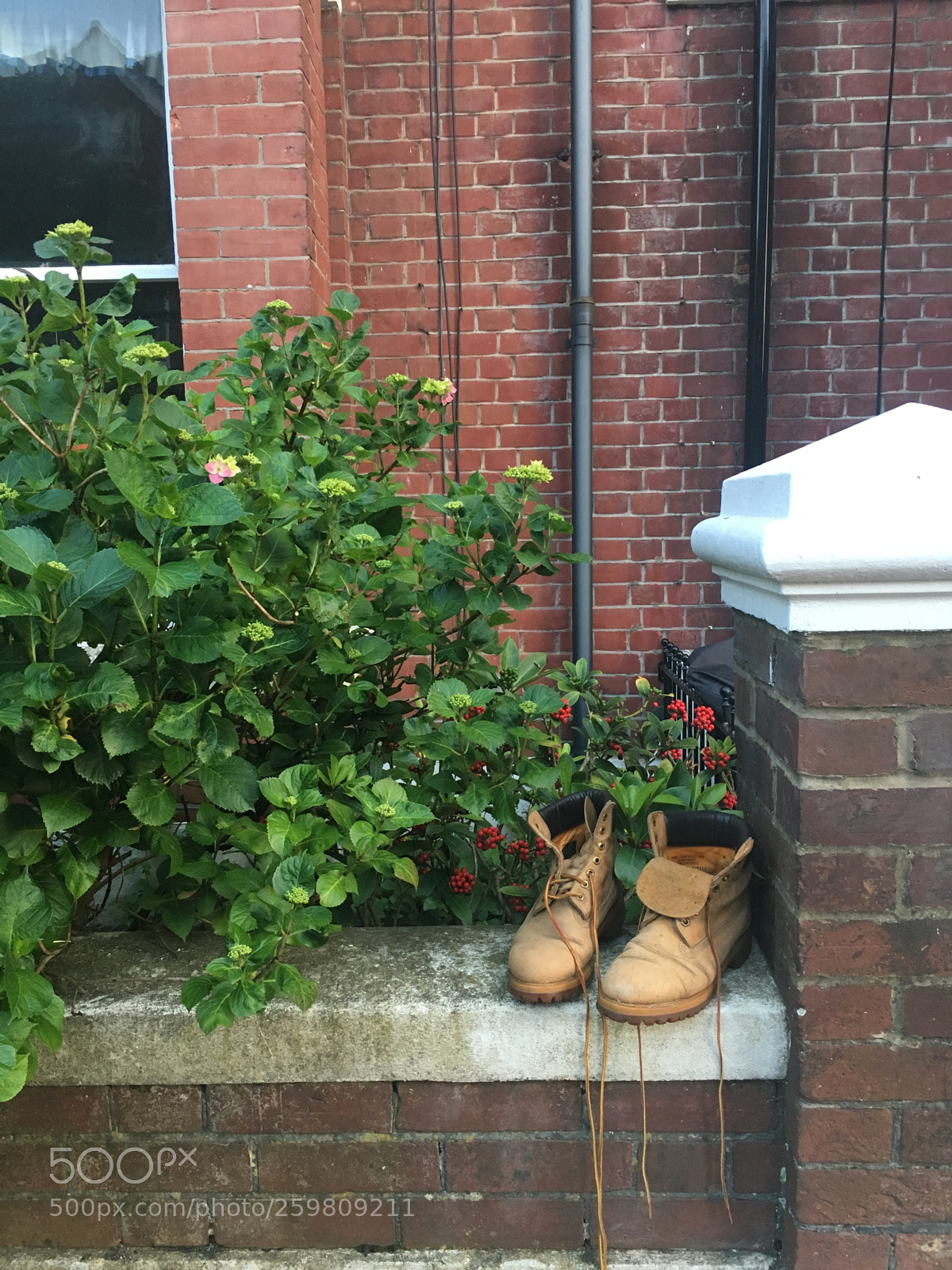 Apple iPhone 6s sample photo. Invisible man stands on photography