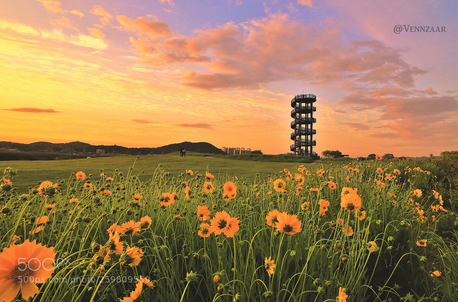 Canon EOS 6D sample photo. Siheung wood tower photography