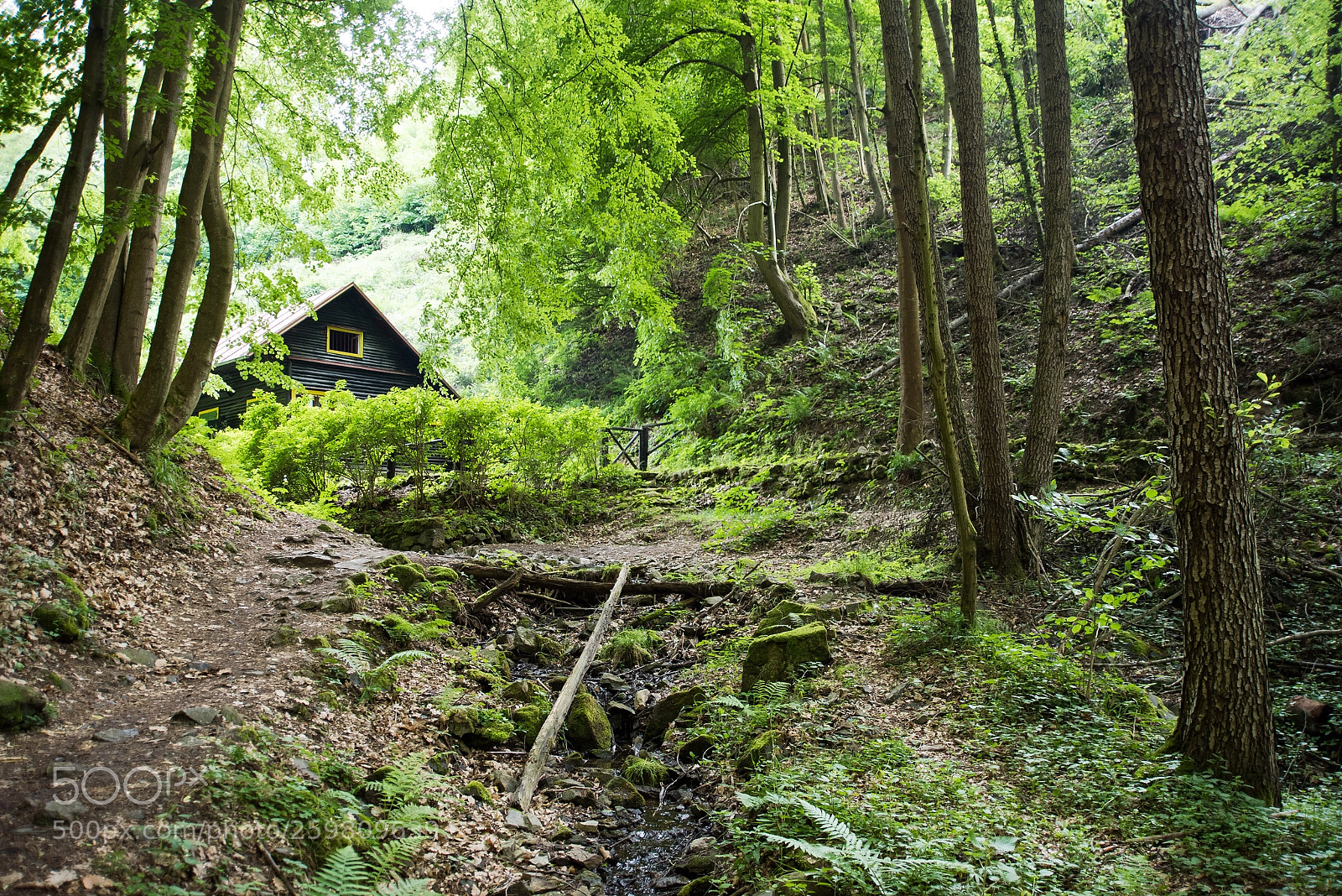 Nikon D750 sample photo. Stechovice photography