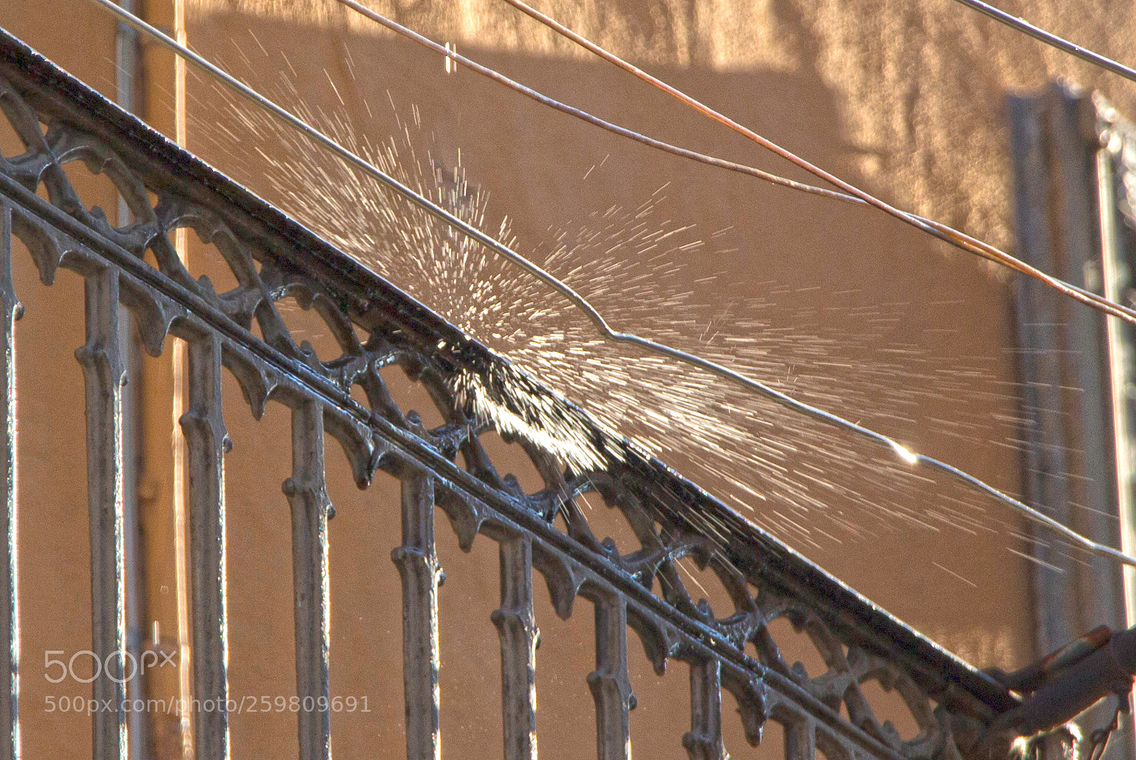 Canon EOS 700D (EOS Rebel T5i / EOS Kiss X7i) sample photo. Rain drop photography