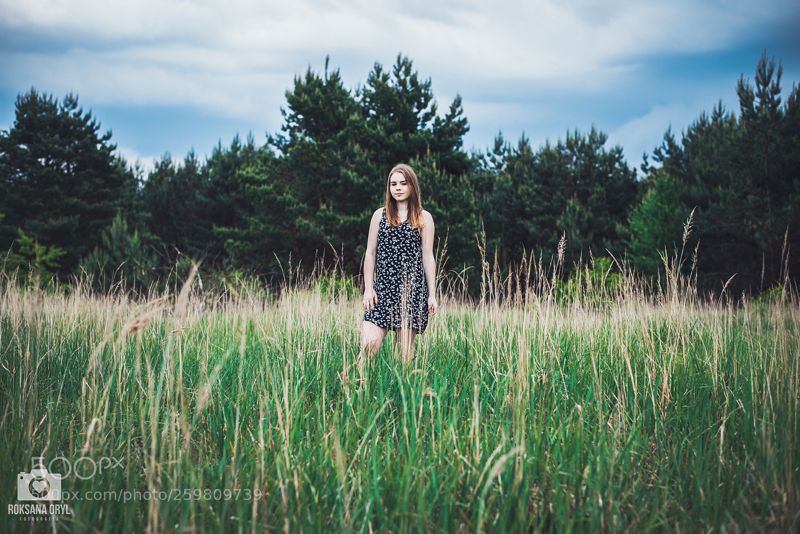 Nikon D610 sample photo. Untitled photography