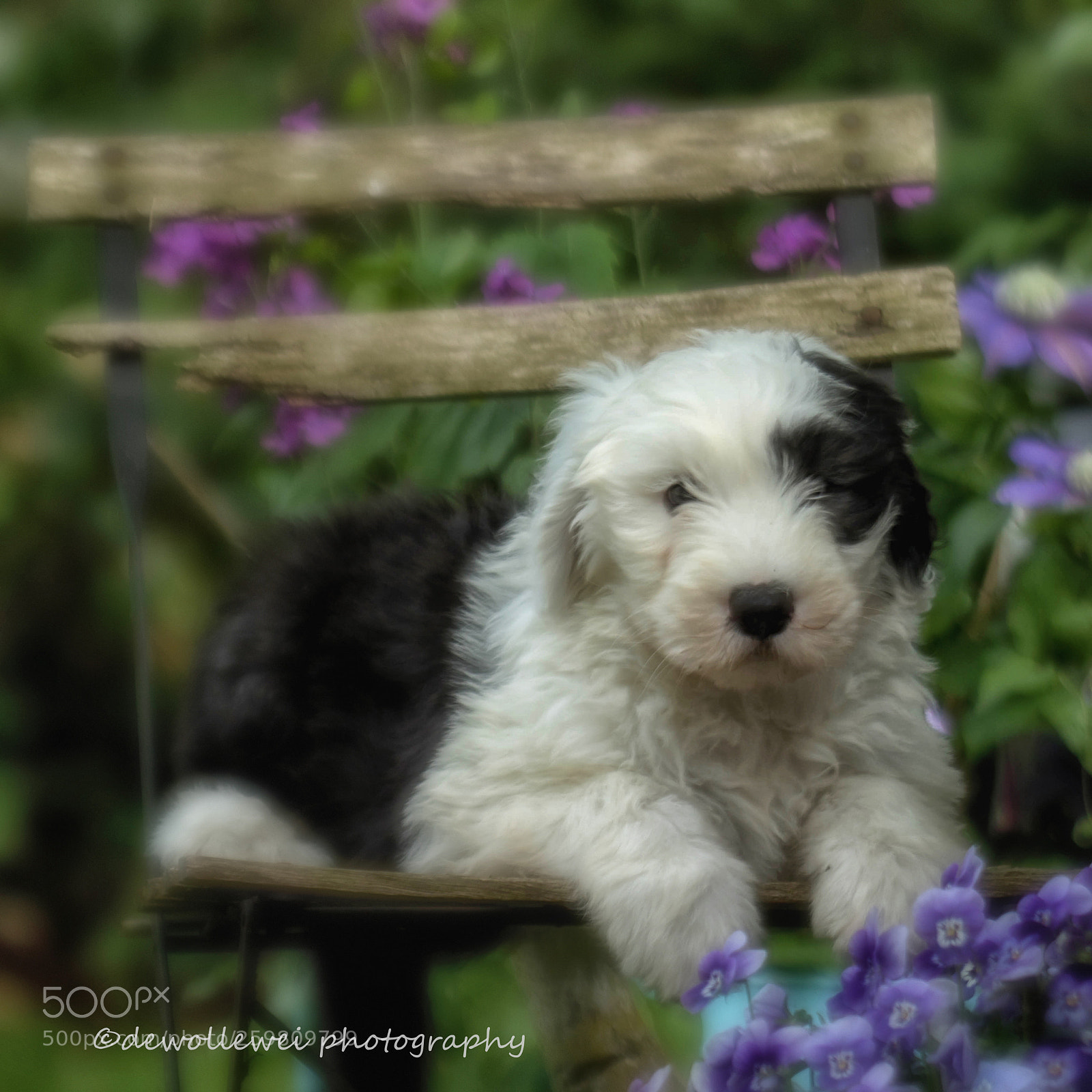 Canon EOS 7D Mark II sample photo. Abby photography