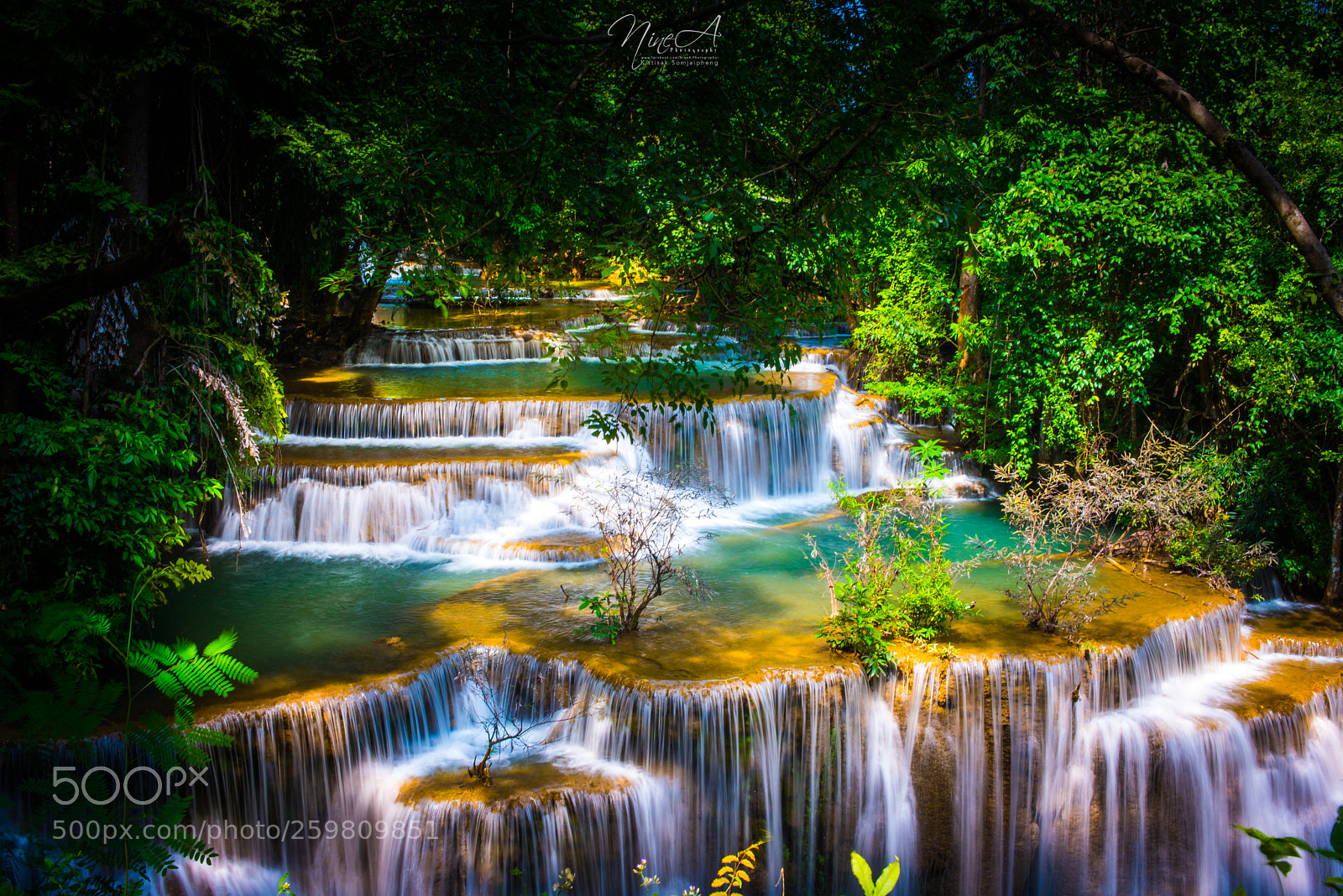 Nikon D810 sample photo. Sjp photography
