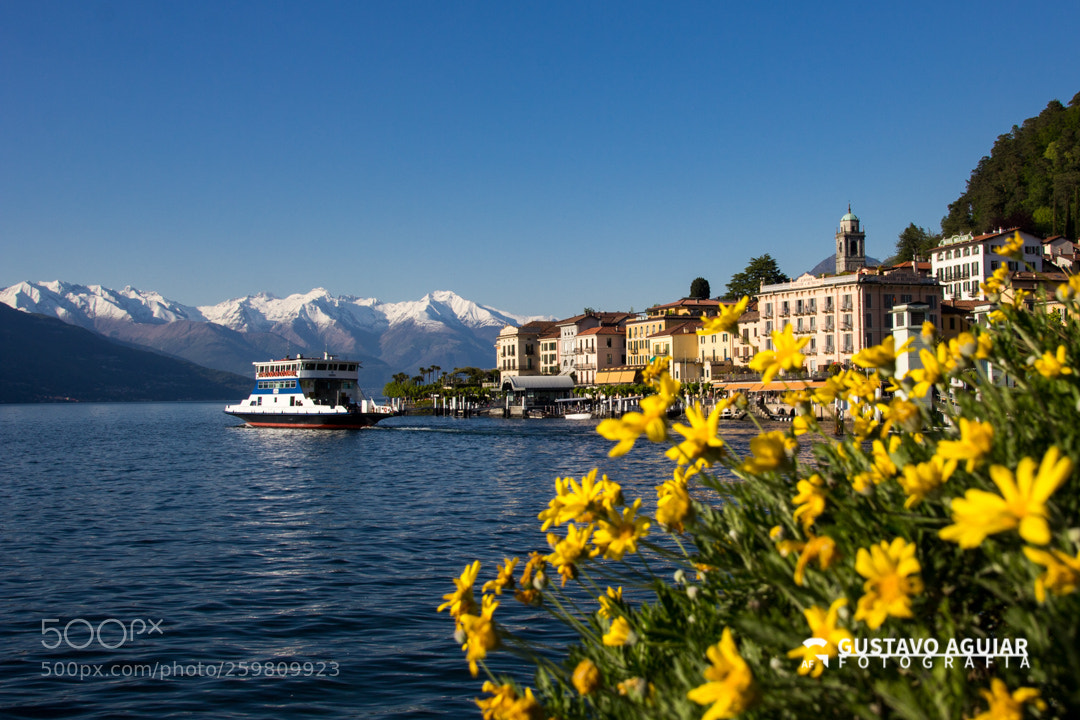 Canon EOS 60D sample photo. Bellagio trees - lake photography