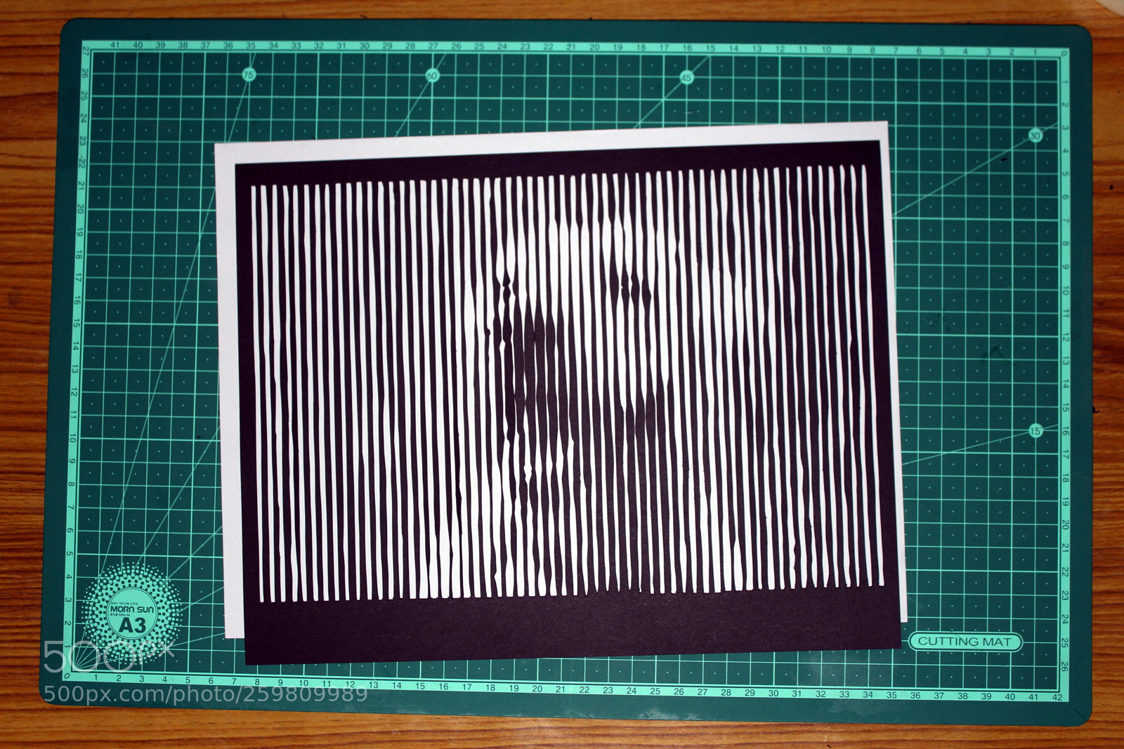 Canon EOS 1200D (EOS Rebel T5 / EOS Kiss X70 / EOS Hi) sample photo. Striped papercut portraits photography