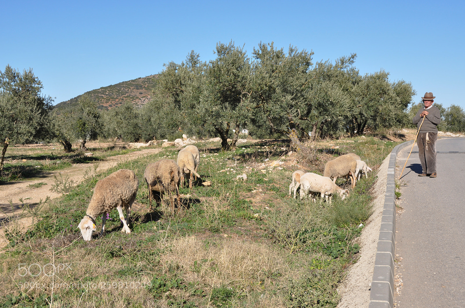 Nikon D90 sample photo. Rural spain.... photography
