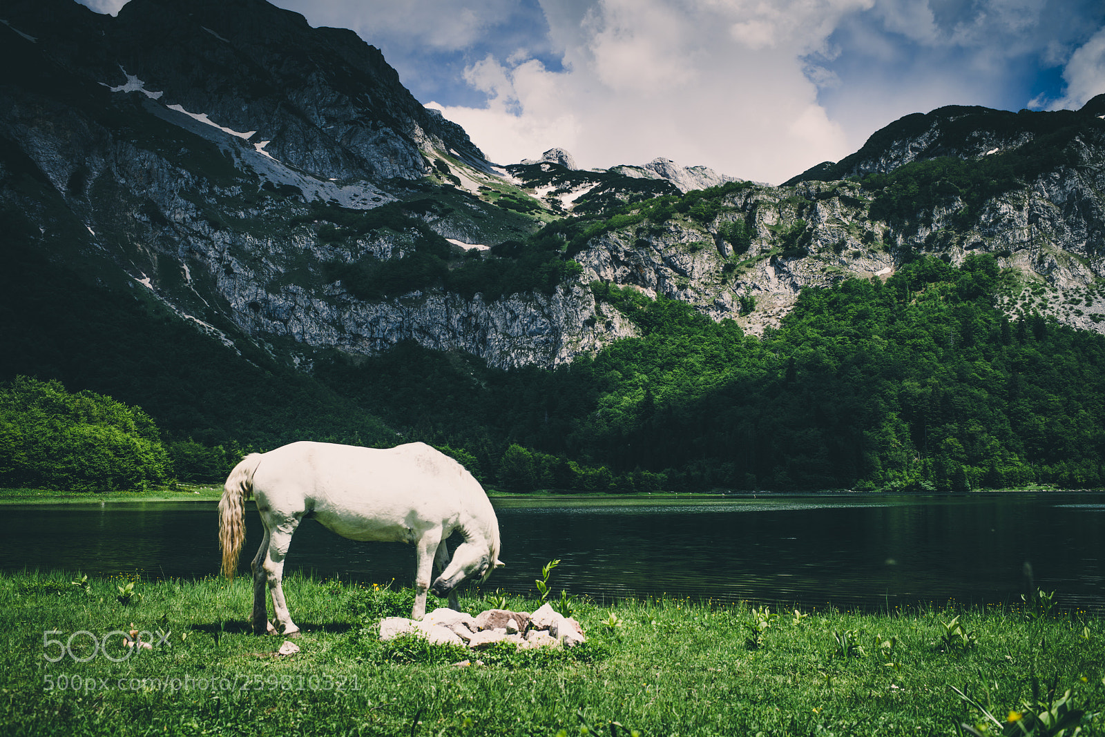 Nikon D800E sample photo. Trnovačko lake photography
