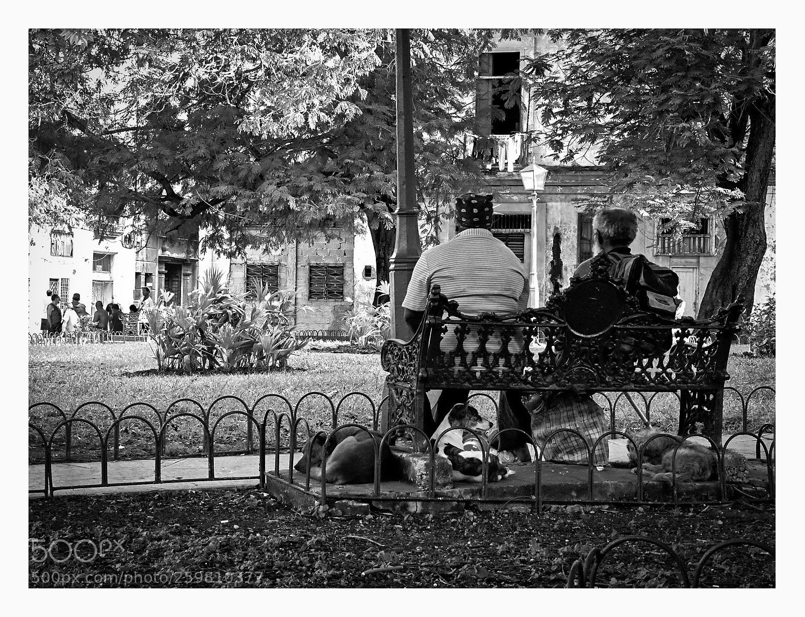 Panasonic Lumix DMC-FZ28 sample photo. Un d a en photography