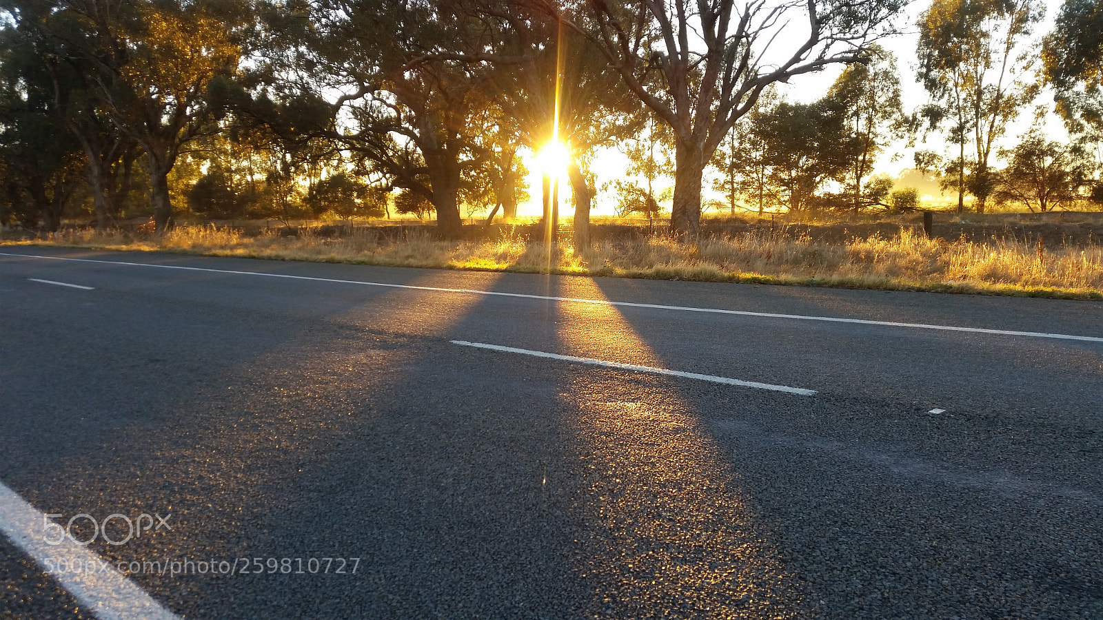 Samsung Galaxy S5 sample photo. Early morning on the photography