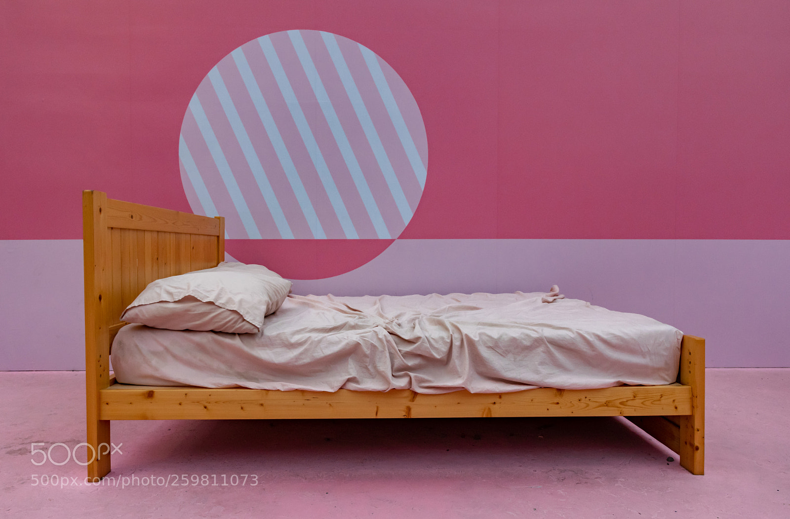 Nikon D5300 sample photo. Pinky bed photography