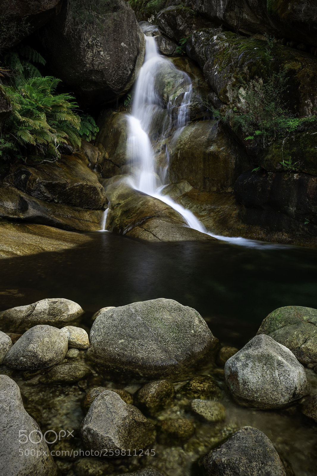 Nikon D500 sample photo. Lady bath falls photography