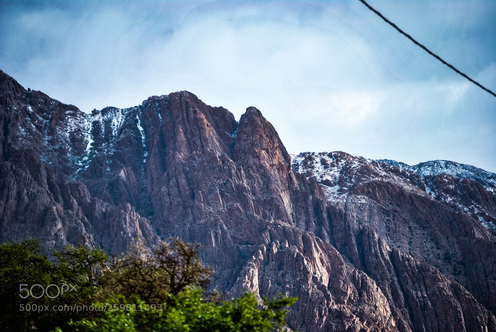 Nikon D3000 sample photo. Lion head photography