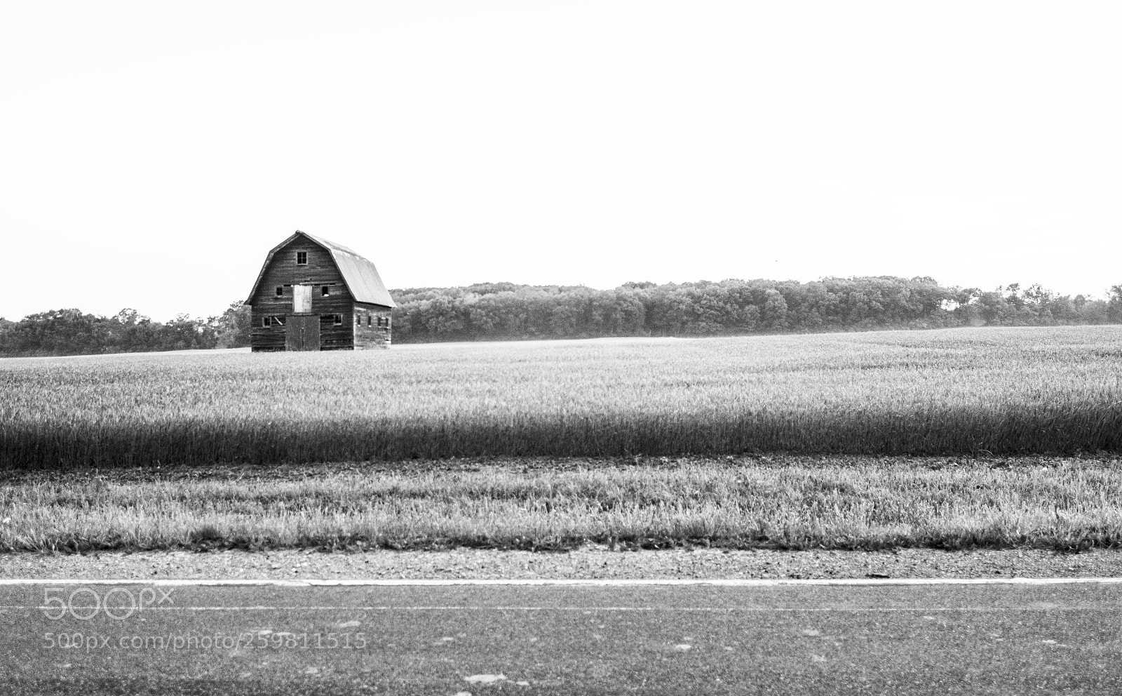 Nikon D3200 sample photo. Black barn photography