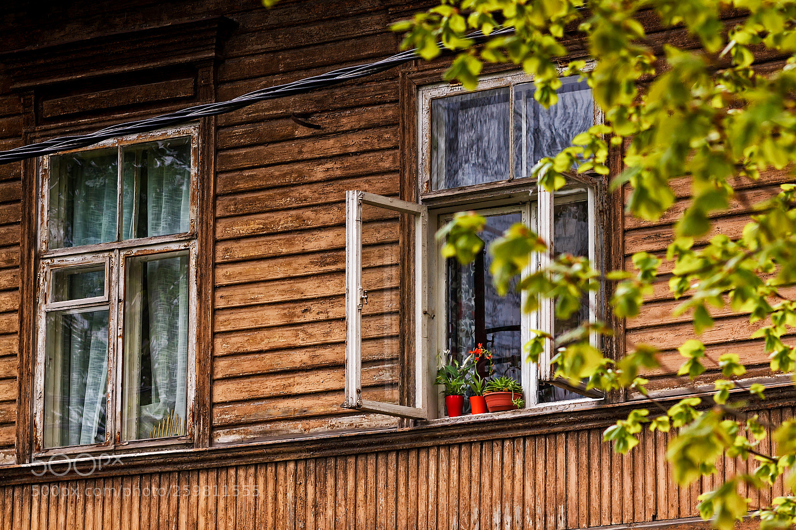 Canon EOS 50D sample photo. Three flower pots on photography