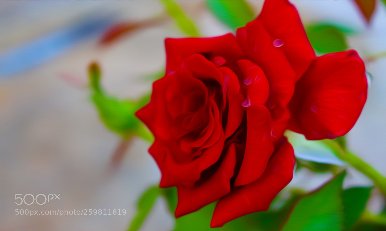Canon EOS 700D (EOS Rebel T5i / EOS Kiss X7i) sample photo. Img photography