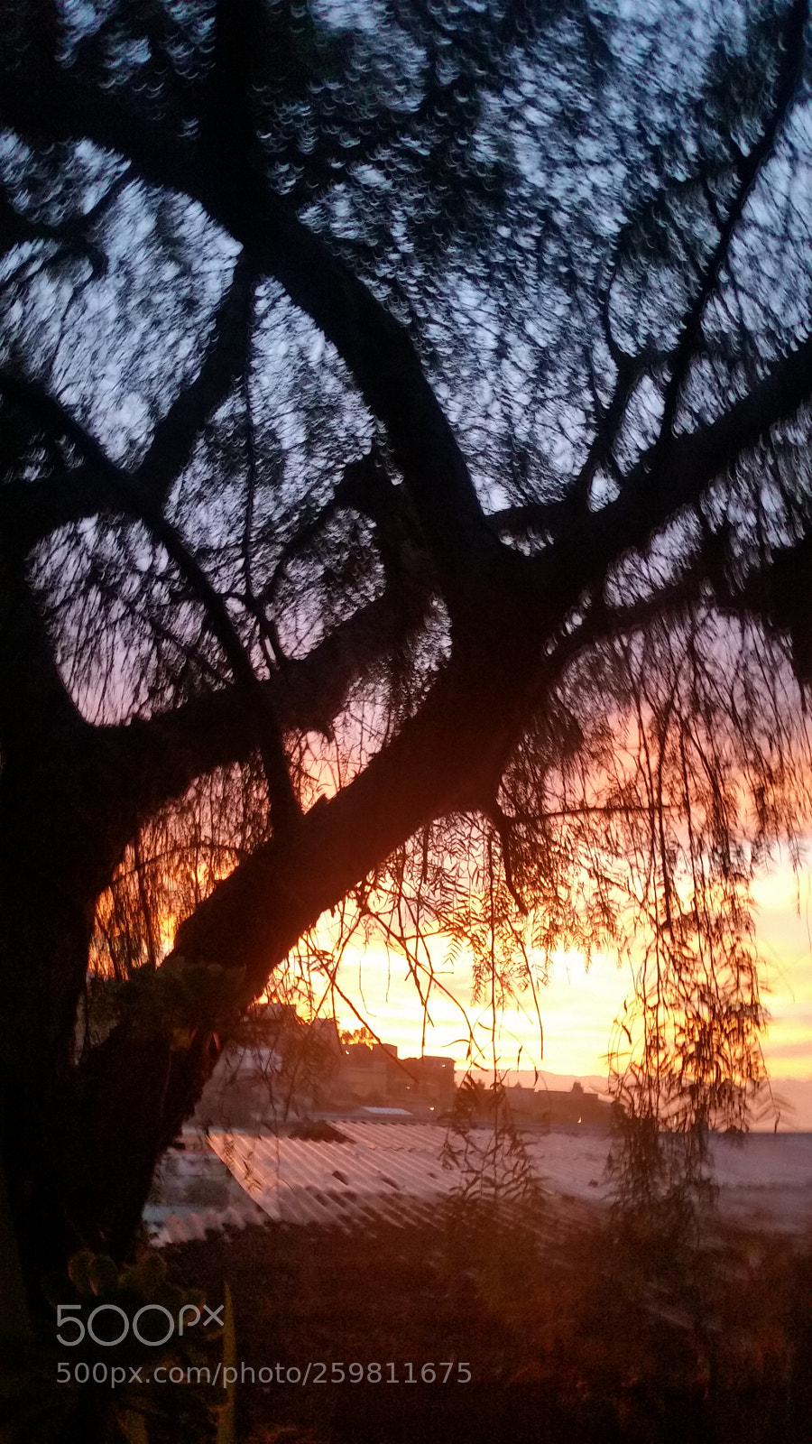 Samsung Galaxy S5 sample photo. Untitled photography
