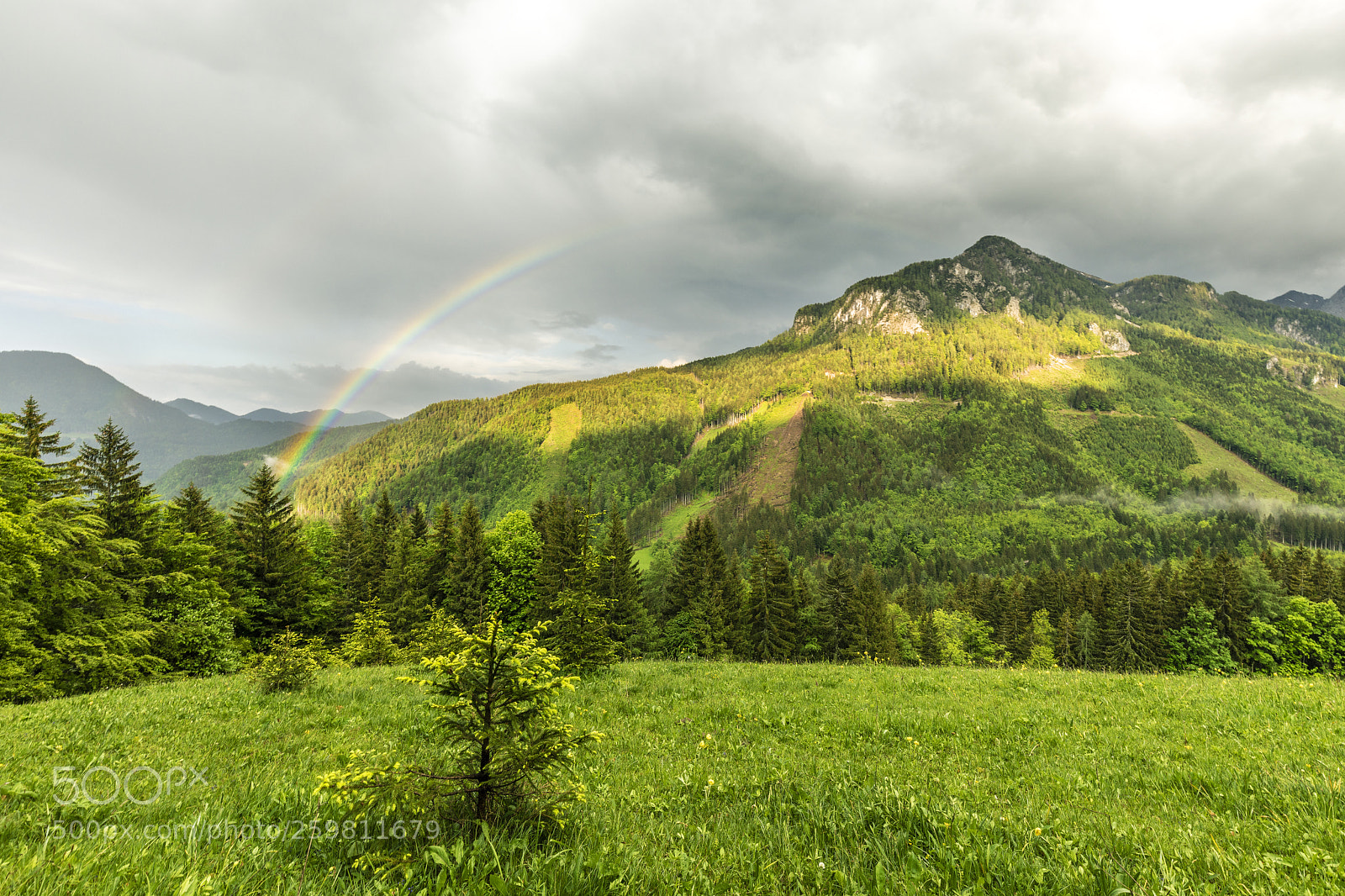 Canon EOS 5D Mark IV sample photo. After the rain photography