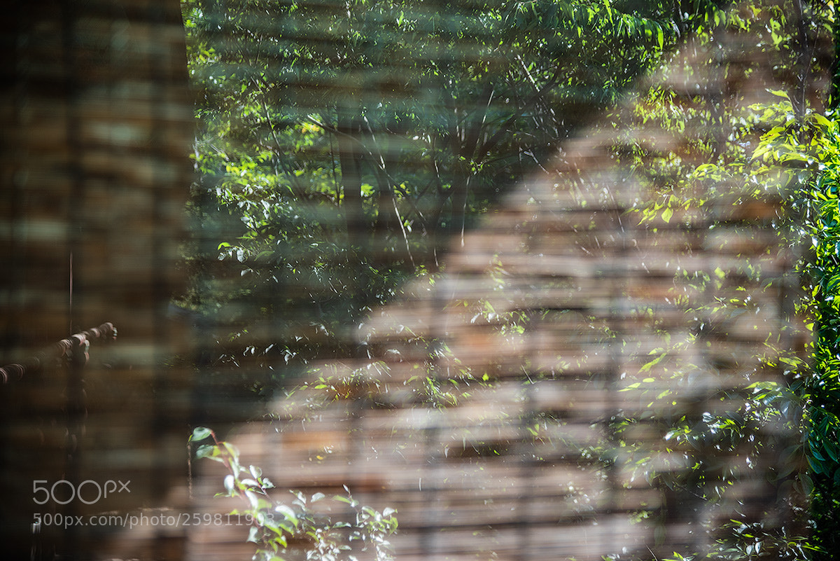 Nikon D810 sample photo. Bamboo shade(blind) photography