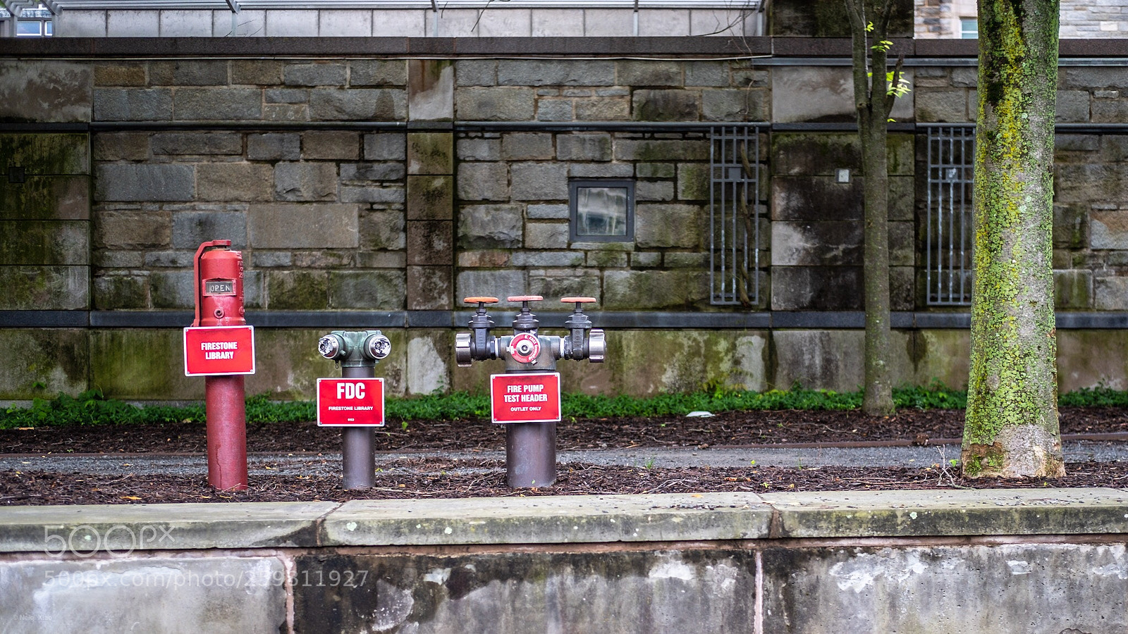 Fujifilm X-E3 sample photo. Trio photography