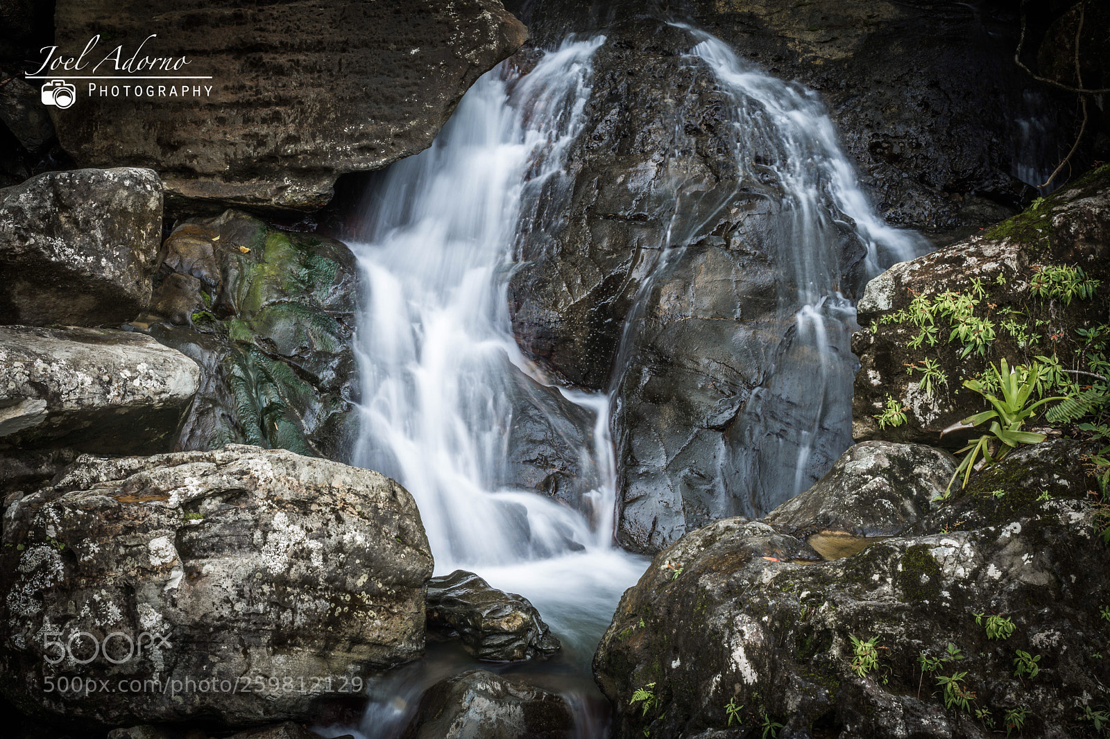 Nikon D7200 sample photo. El yunque photography