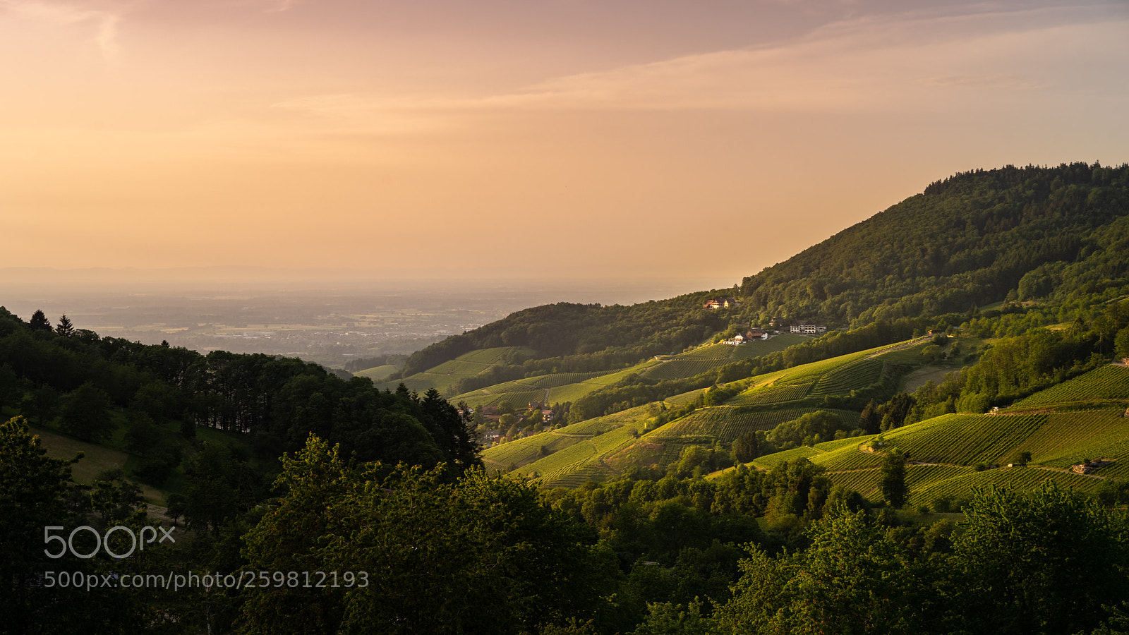 Sony a7 II sample photo. Sonnenuntergang über rheinebene photography