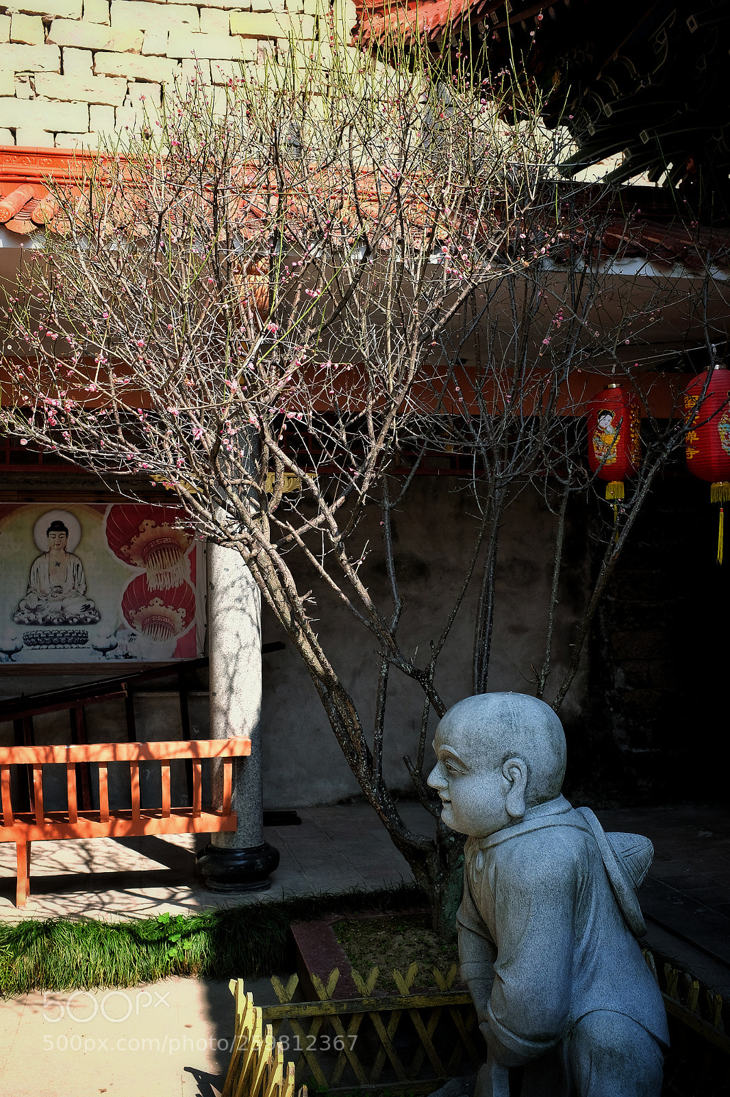 Fujifilm X100T sample photo. Untitled photography