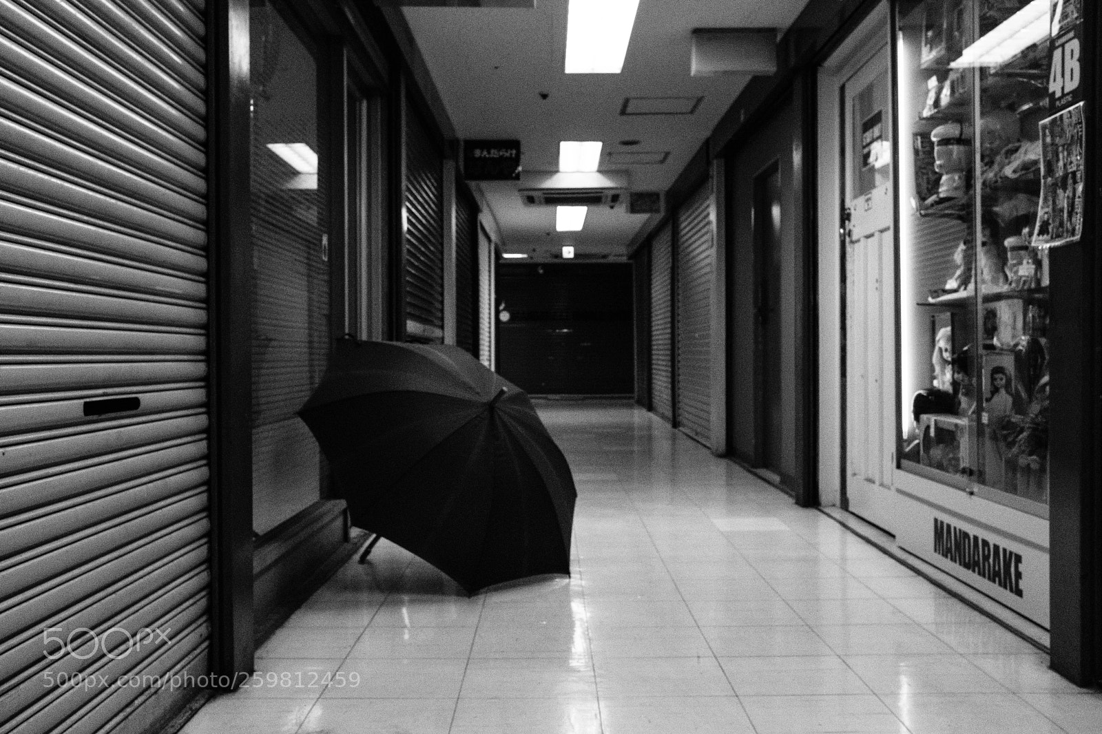 Fujifilm X-T2 sample photo. Tokyo japan 2017 photography