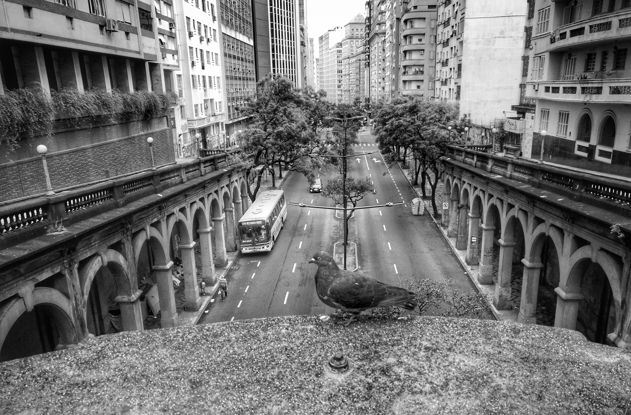 HUAWEI Mate 8 sample photo. Viaducto en porto alegre photography