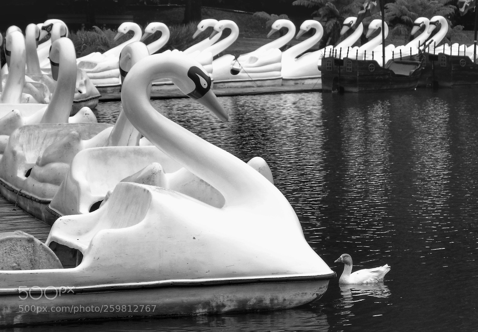 Sony Cyber-shot DSC-H400 sample photo. Lago de los cisnes photography