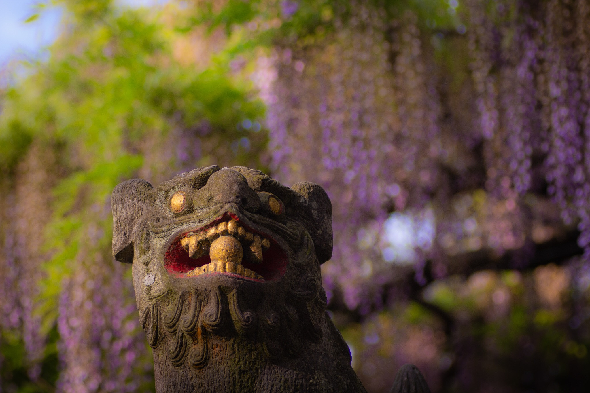 Canon EOS 700D (EOS Rebel T5i / EOS Kiss X7i) sample photo. Guardian lion-dog at shinto shrine photography