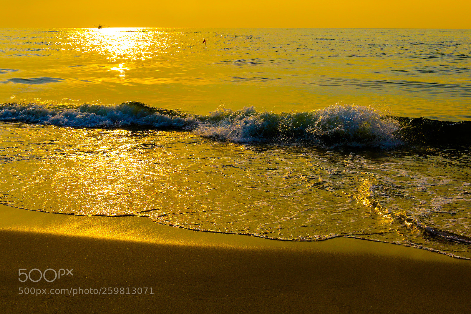 Canon EOS 70D sample photo. The morning photography