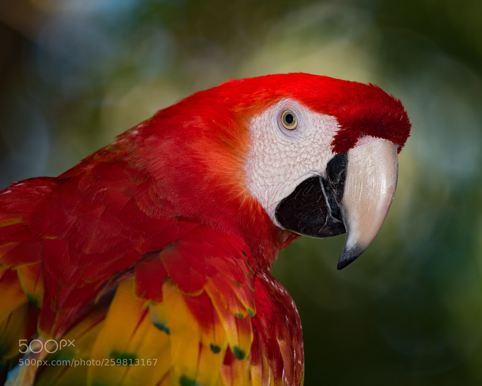 Nikon D810 sample photo. Sharp photography