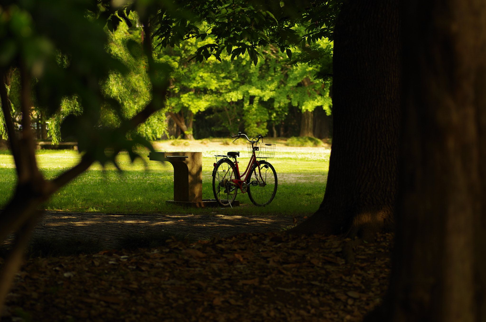 Pentax K-30 + Tamron SP AF 90mm F2.8 Di Macro sample photo. In a park photography