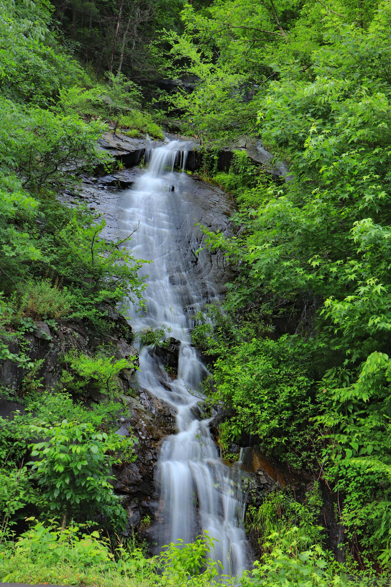 Canon EOS 200D (EOS Rebel SL2 / EOS Kiss X9) sample photo. Hidden falls photography