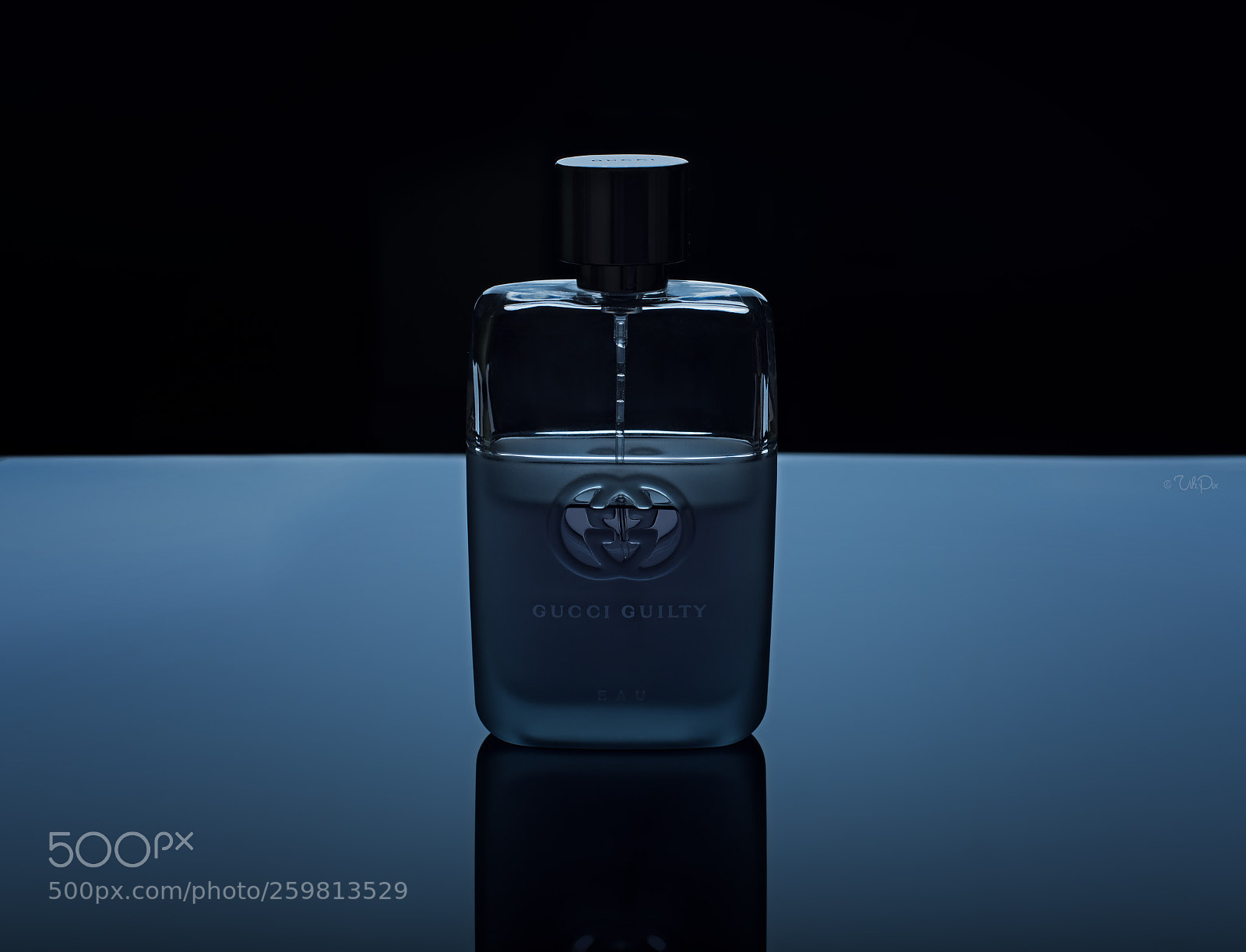 Nikon D810 sample photo. Gucci photography