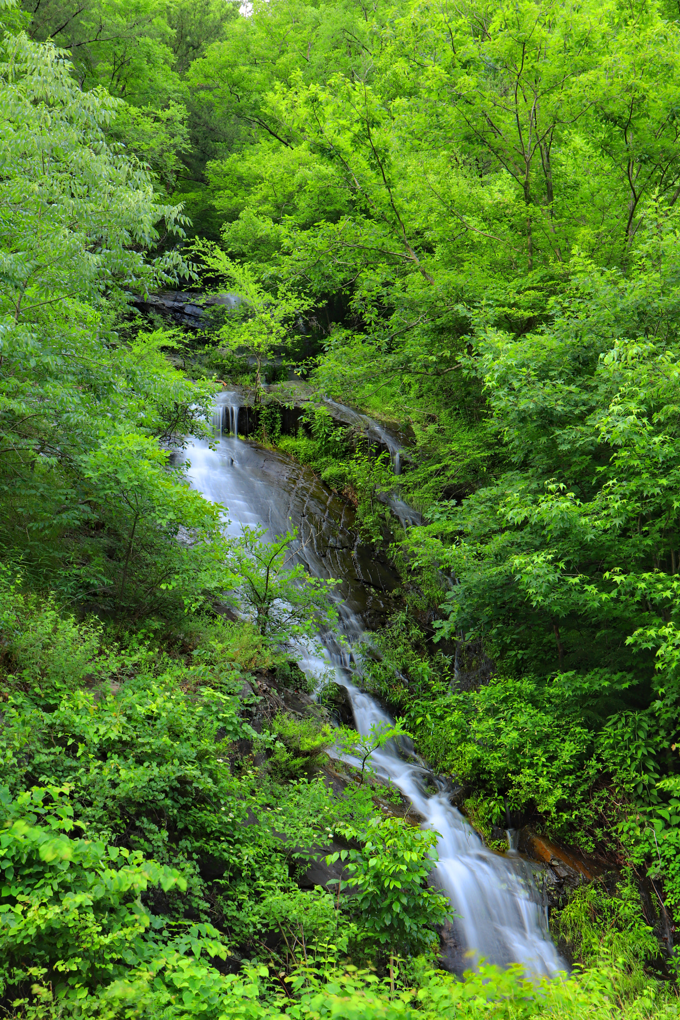 Canon EOS 200D (EOS Rebel SL2 / EOS Kiss X9) sample photo. Hidden falls 2 photography