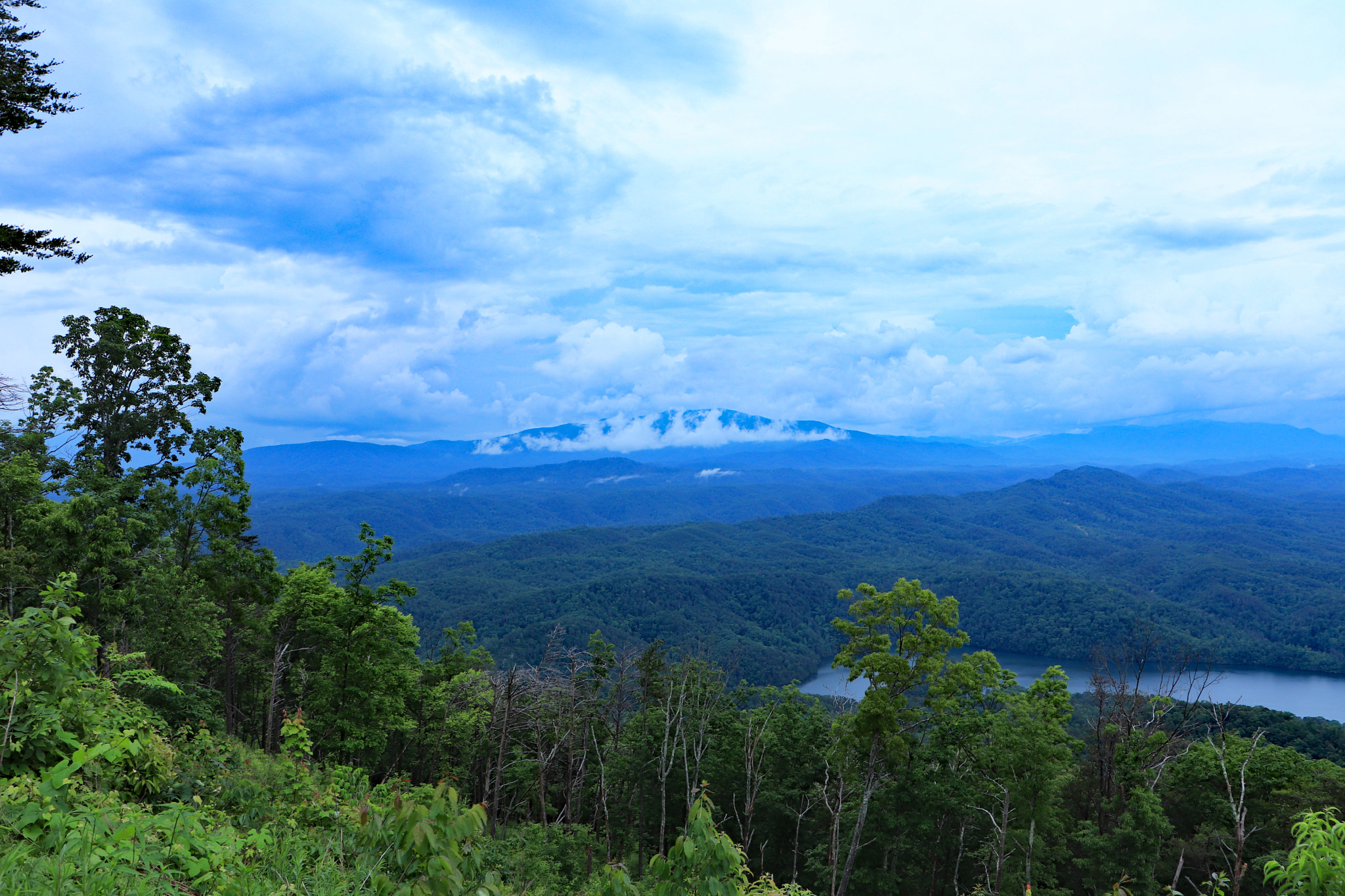 Canon EOS 200D (EOS Rebel SL2 / EOS Kiss X9) sample photo. Smokies photography