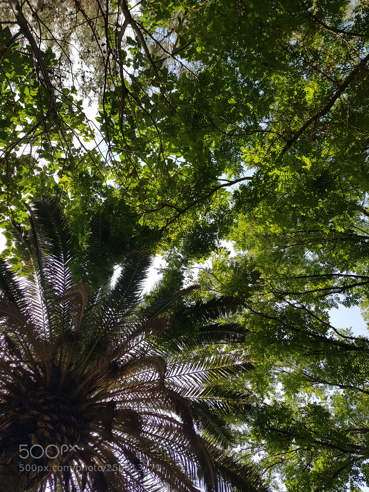 Samsung Galaxy S8 sample photo. Untitled photography