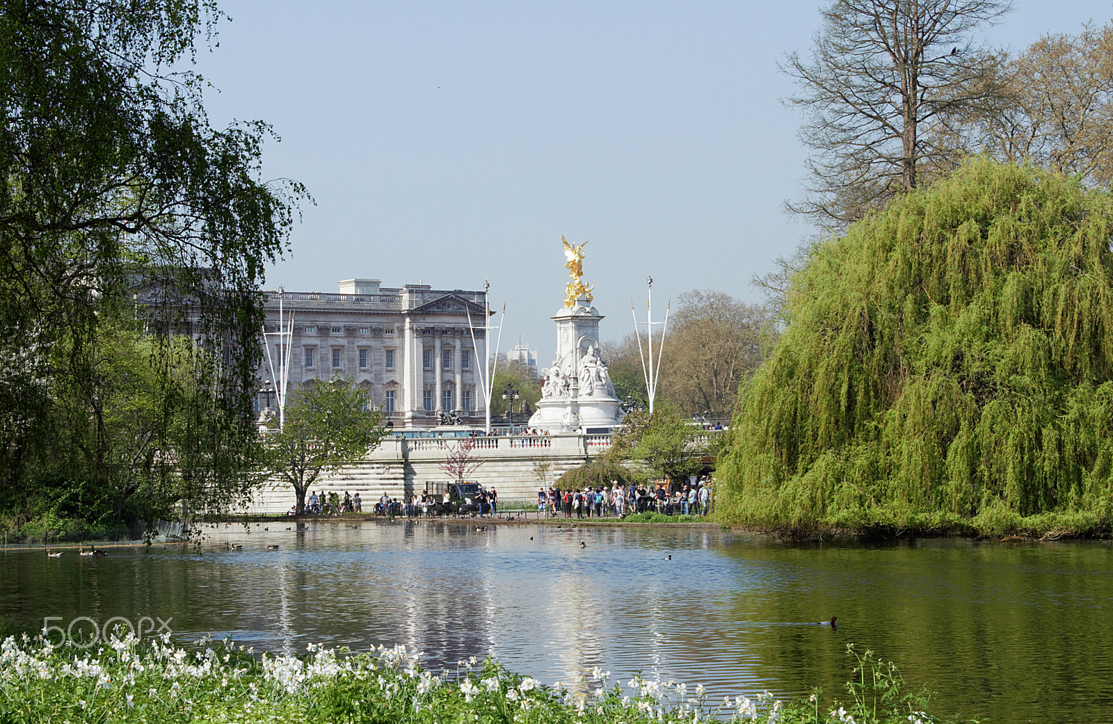 Nikon D3300 sample photo. St. james s park photography