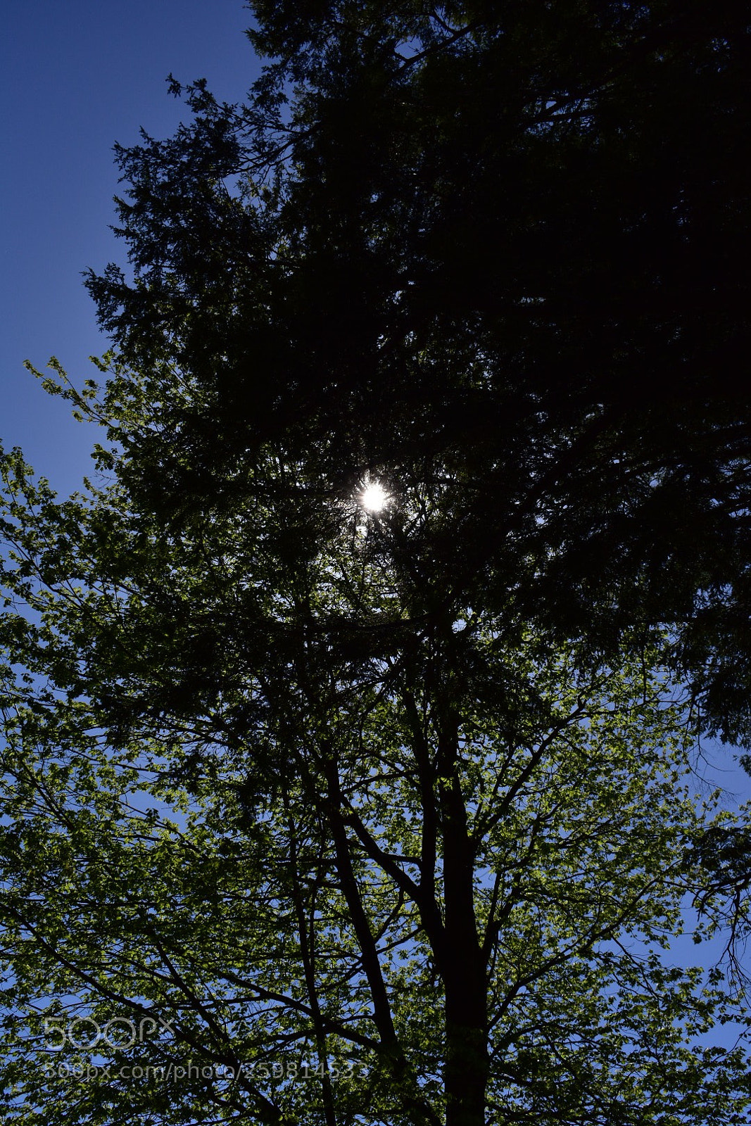 Nikon D3400 sample photo. Untitled photography