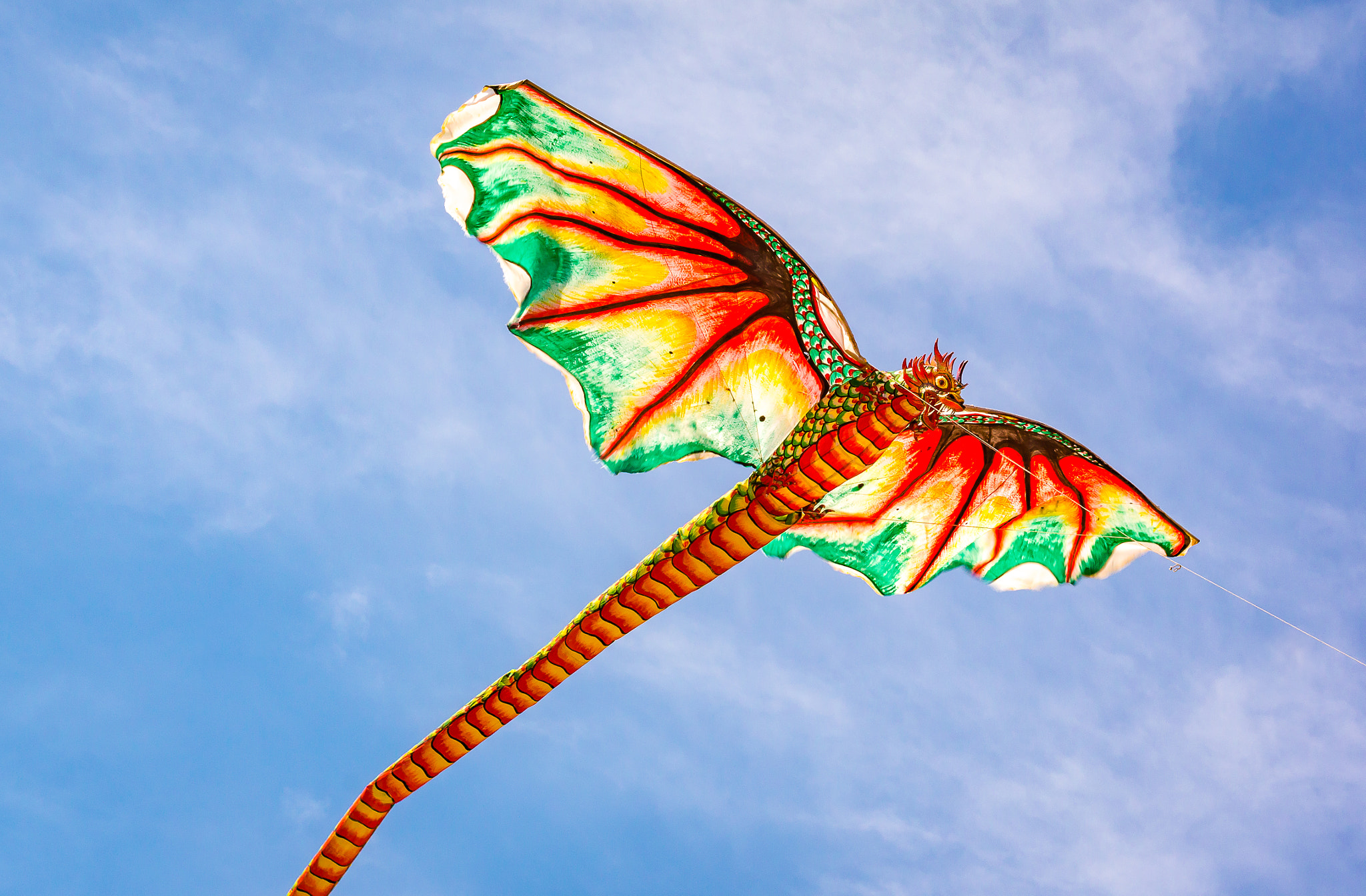 Sony Alpha NEX-7 sample photo. Kite with a dragon head flying in the wind photography