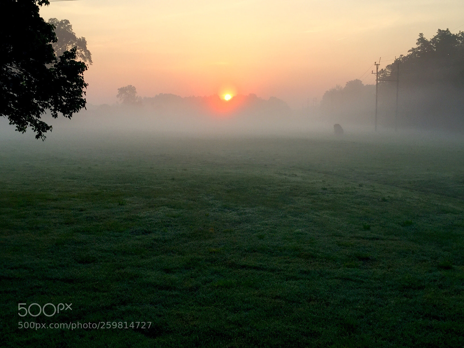 Apple iPhone 6 Plus sample photo. Misty sunrise photography