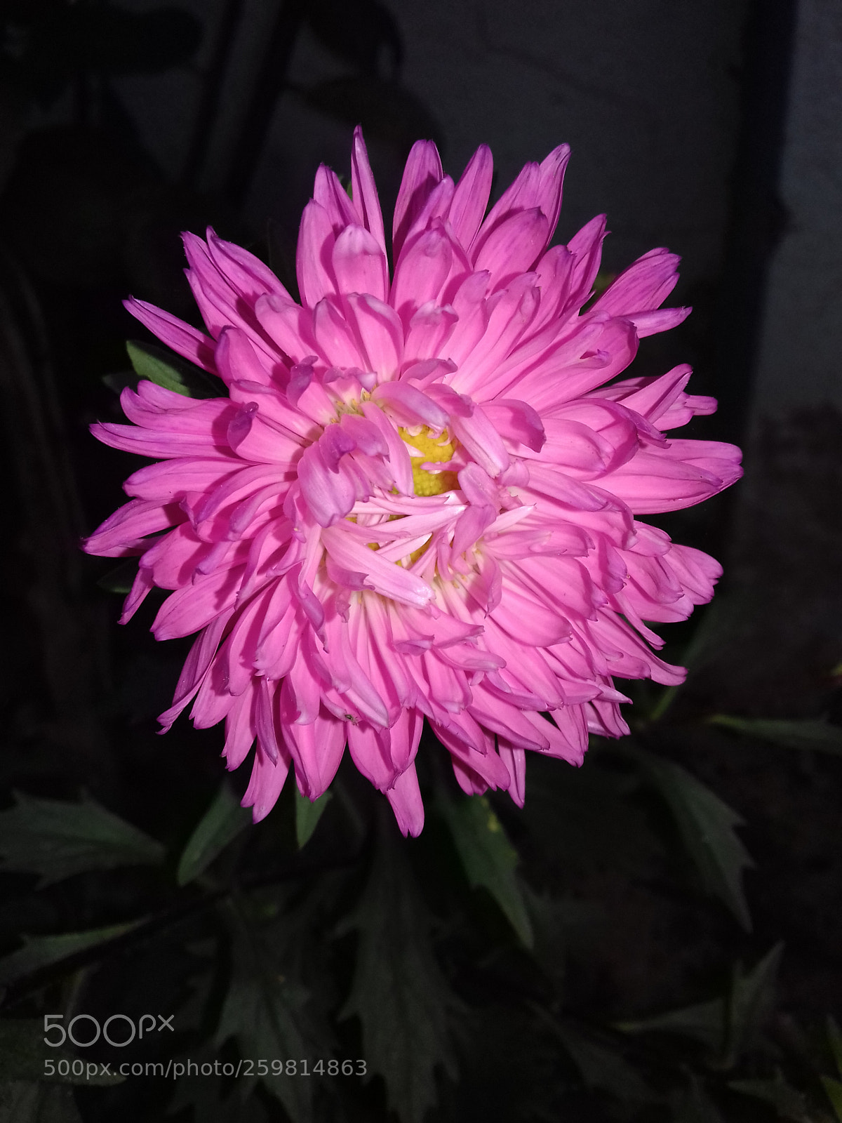 Samsung Galaxy J3(2016) sample photo. Untitled photography
