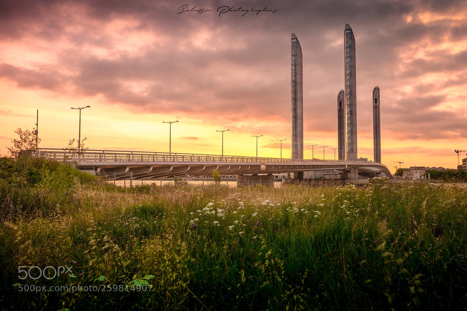 Nikon D800 sample photo. Chaban delmas bridge photography