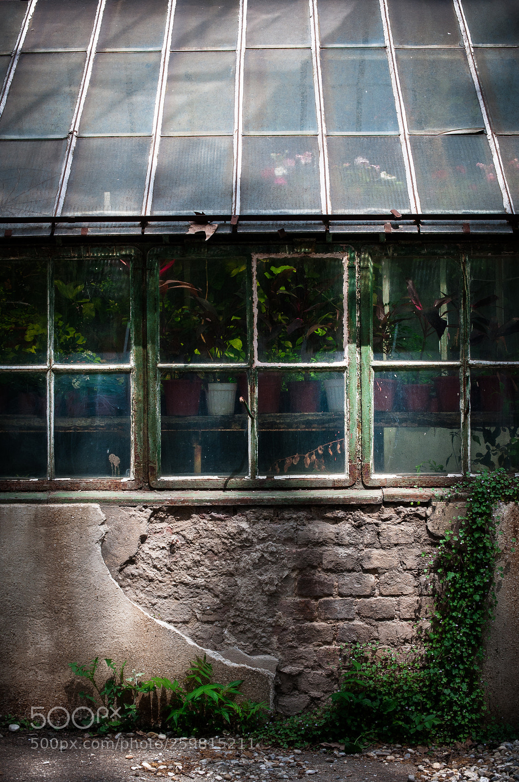Nikon D90 sample photo. Greenhouse (detail) photography