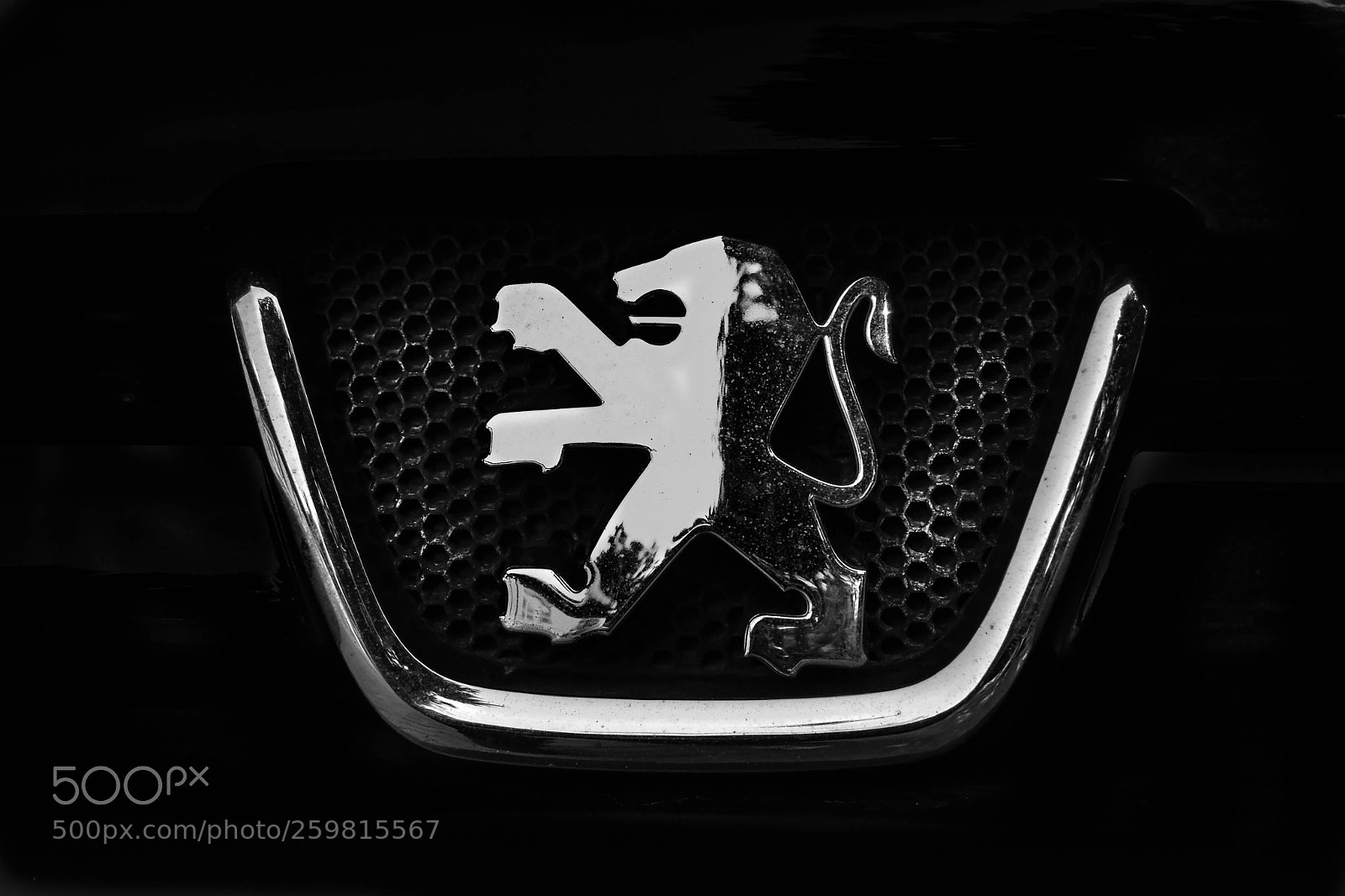 Nikon D3100 sample photo. Logography photography
